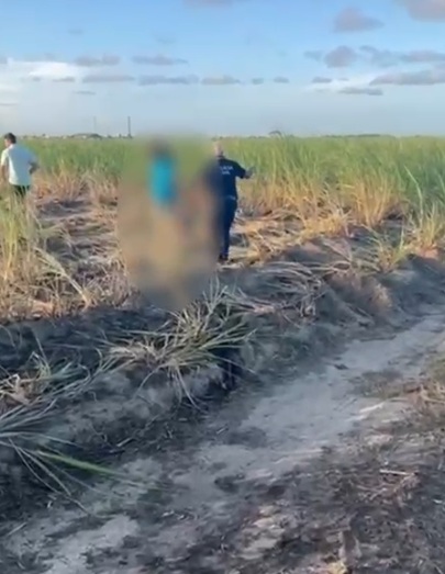 Homem é preso suspeito de feminicídio e ocultação de cadáver em Alagoas