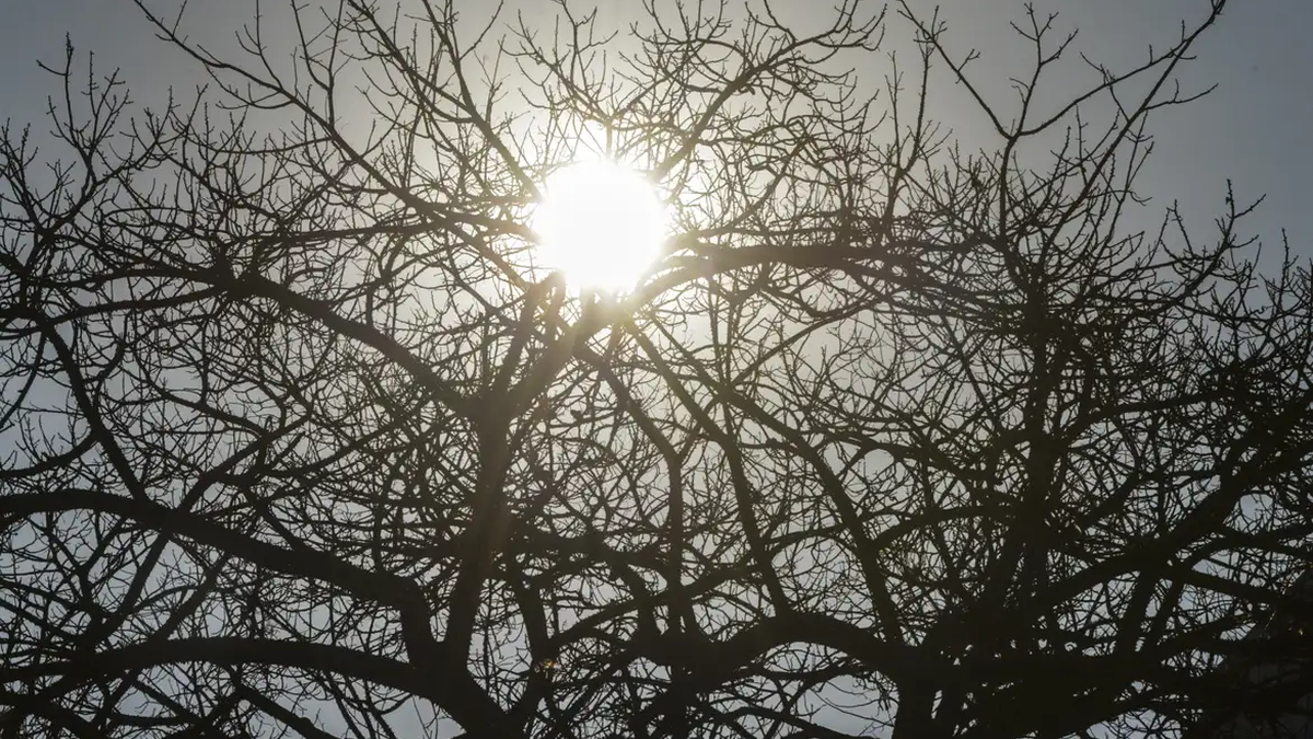 Ar seco predomina no interior de Alagoas até domingo, alerta Semarh