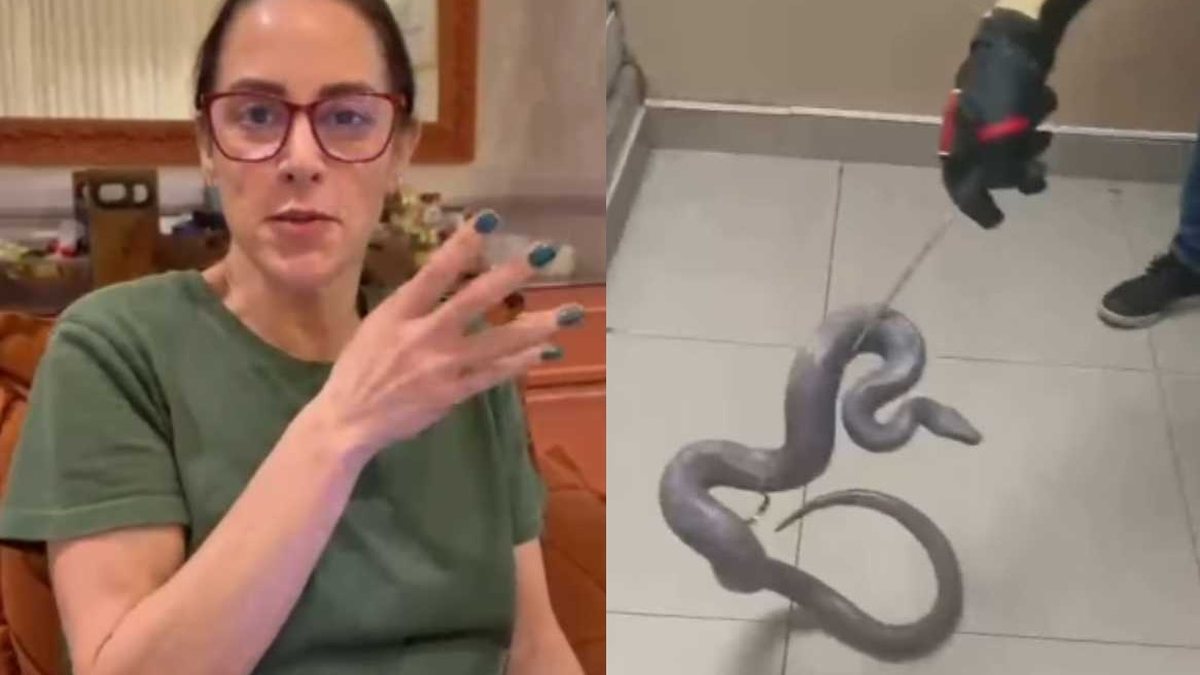 Silvia Abravanel reencontra jiboia desaparecida após cinco meses