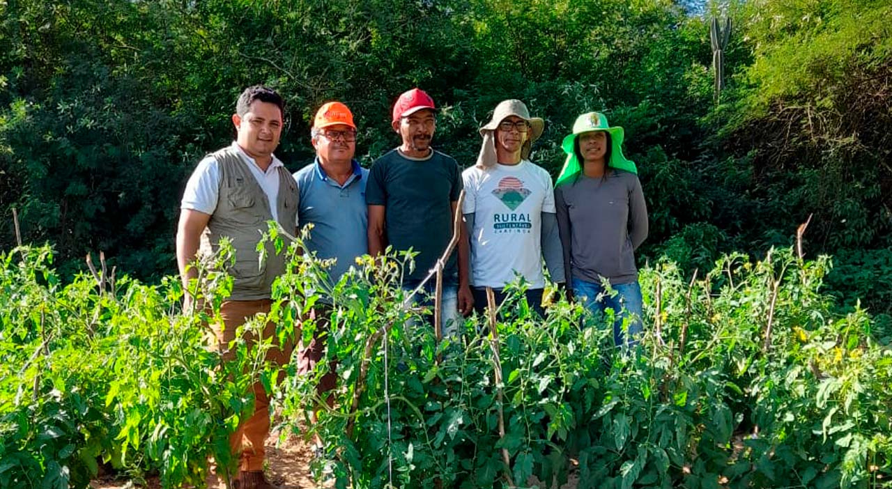 Instituto Irmã Dorothy abre seleção para técnicos em projeto; confira