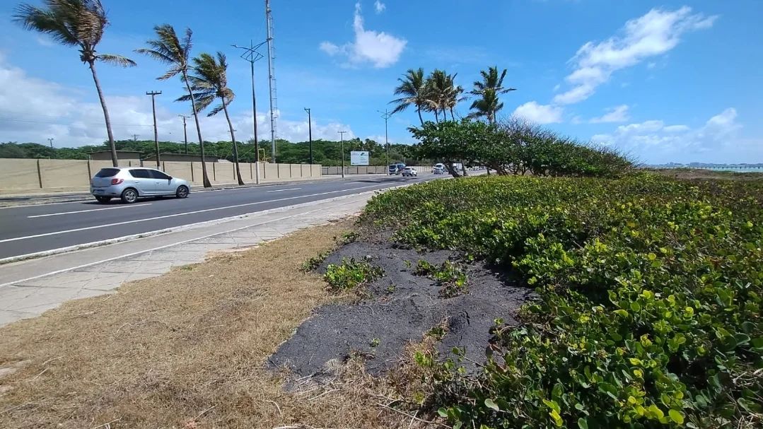 Prefeitura de Maceió descarta resto de asfalto em área de restinga na Orla do Sobral