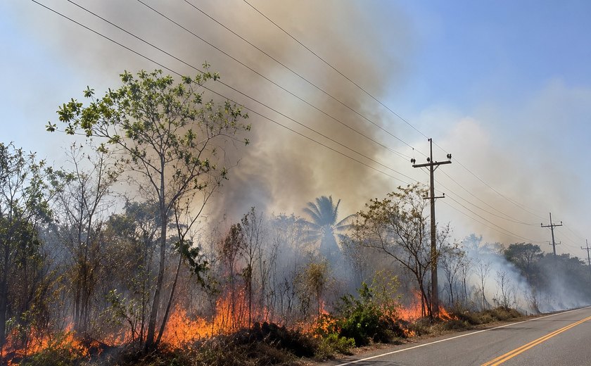 Equatorial alerta para riscos de queimadas próximas à rede elétrica