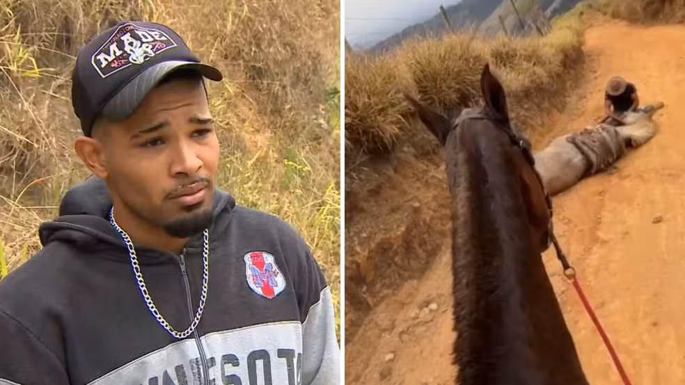 'Cortei por cortar': homem que cortou patas de cavalo disse que estava alcoolizado e se diz arrependido