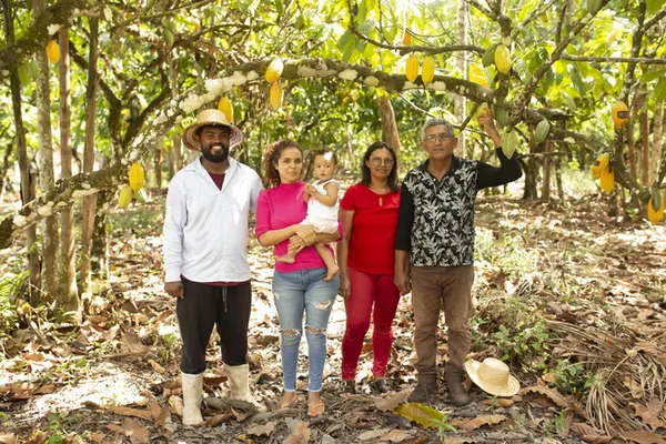 Cooperativas da agricultura familiar entram no centro do debate sobre crédito rural