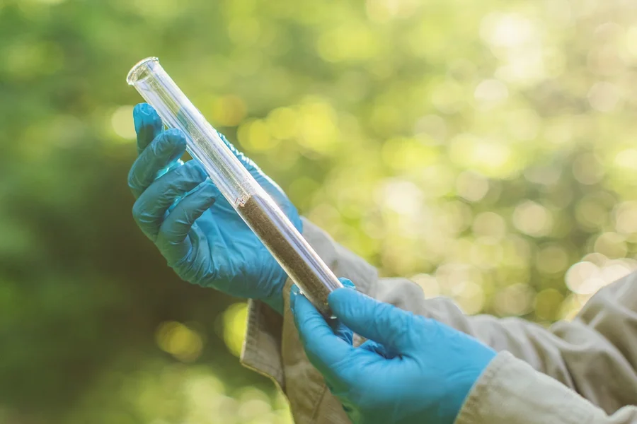 Estudo revela que fezes eram utilizadas como medicamento na Roma Antiga