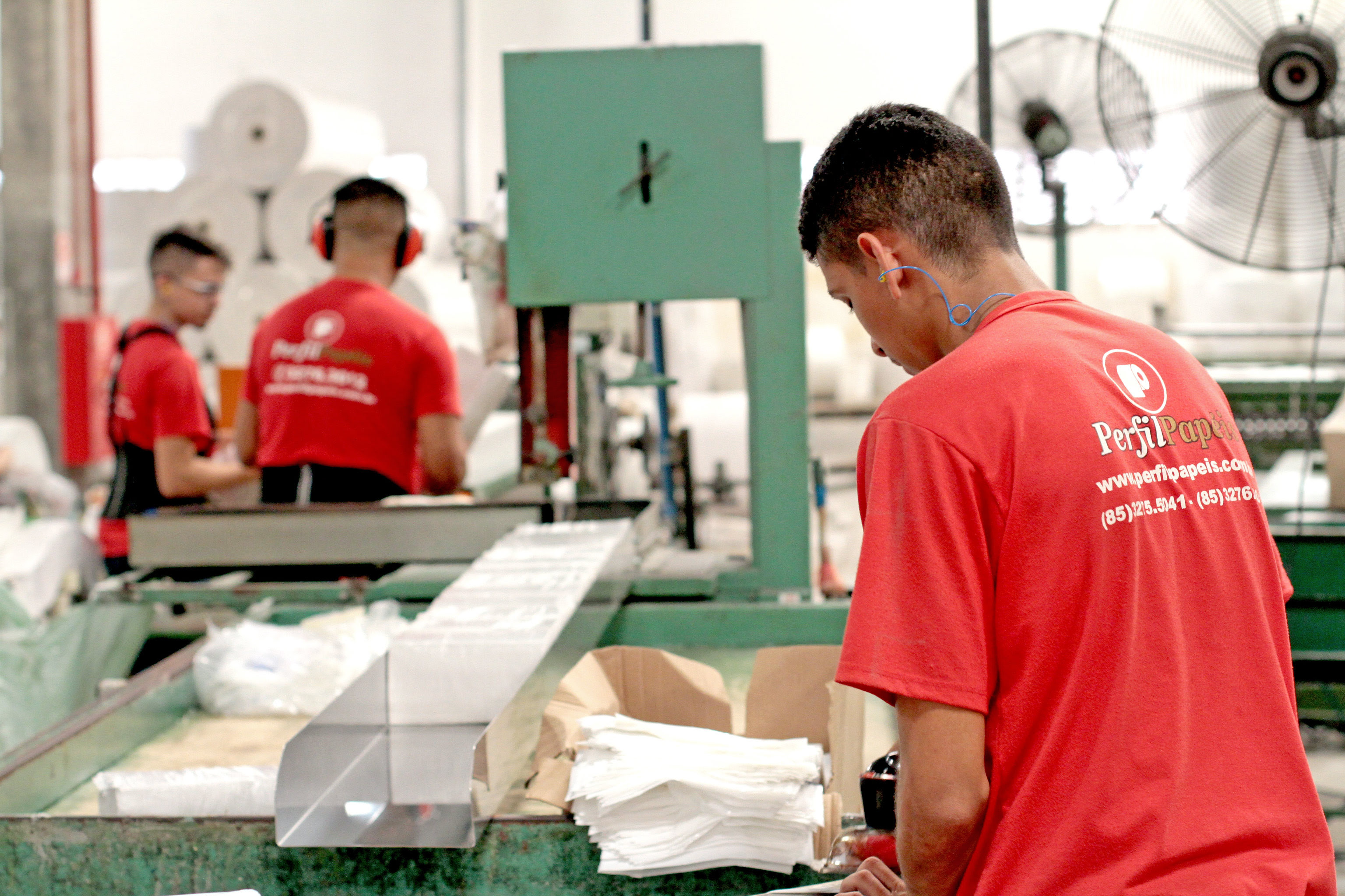 Nordeste lidera queda do desemprego no Brasil, segundo levantamento