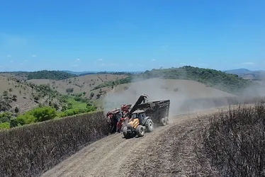Usina em AL importa máquinas da Índia para enfrentar falta de mão de obra