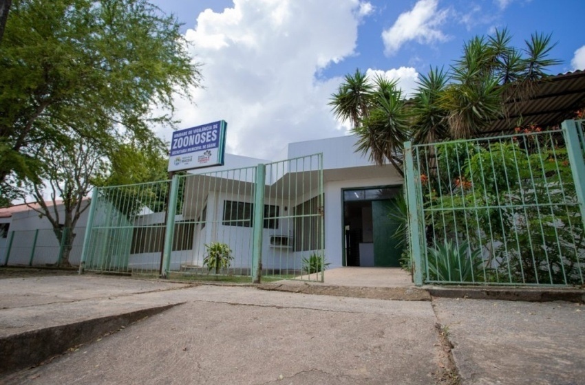 Zoonoses passa a atender exclusivamente por WhatsApp em Maceió