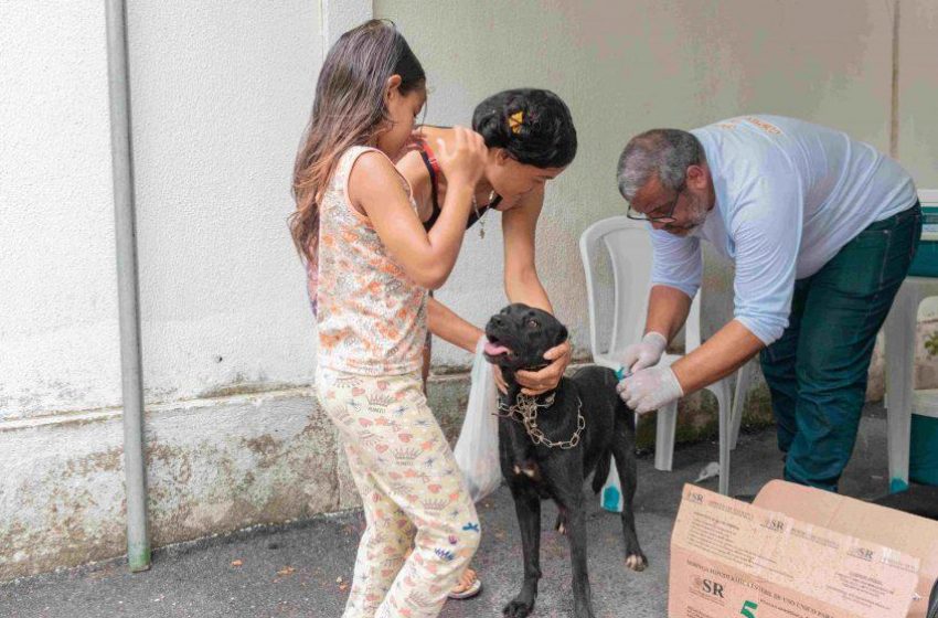 Começa sábado (02) campanha de vacinação antirrábica em Maceió