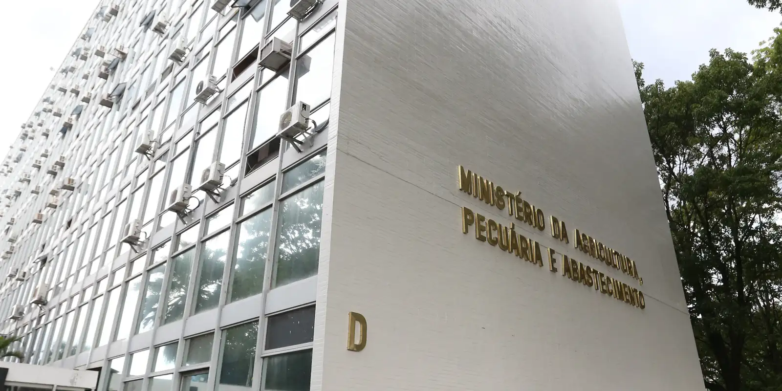 Ministério da Agricultura e Pecuária convoca 180 candidatos aprovados no CPNU