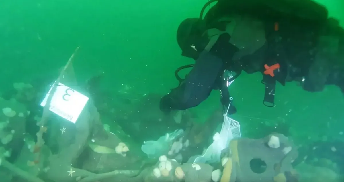 Submarino alemão naufragado em 1917 ainda libera TNT no Mar da Dinamarca