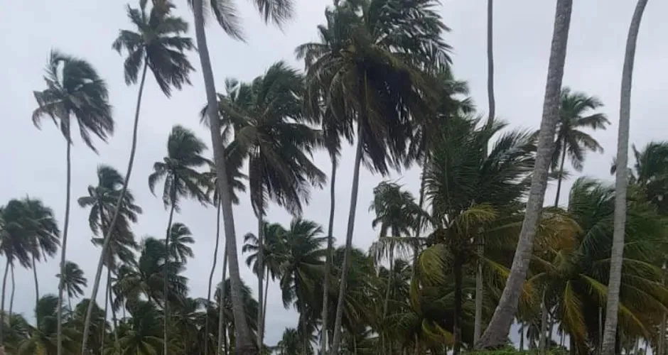 Semarh emite novo aviso para rajadas de vento acima de 50 km/h em Alagoas