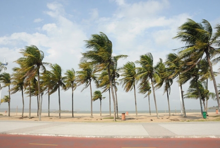 Ventos fortes atingem faixa litorânea e regiões de Alagoas até quarta