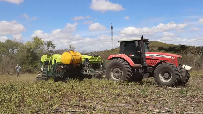 Fertilizante líquido revoluciona lavoura de milho no Agreste alagoano