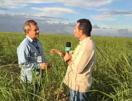 Reportagem do Alagoas Rural ultrapassa 77 mil visualizações nas redes