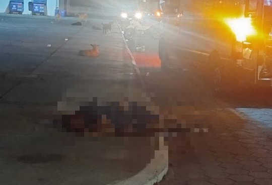 Homem é espancado até a morte com tijoladas em praça de Campo Alegre