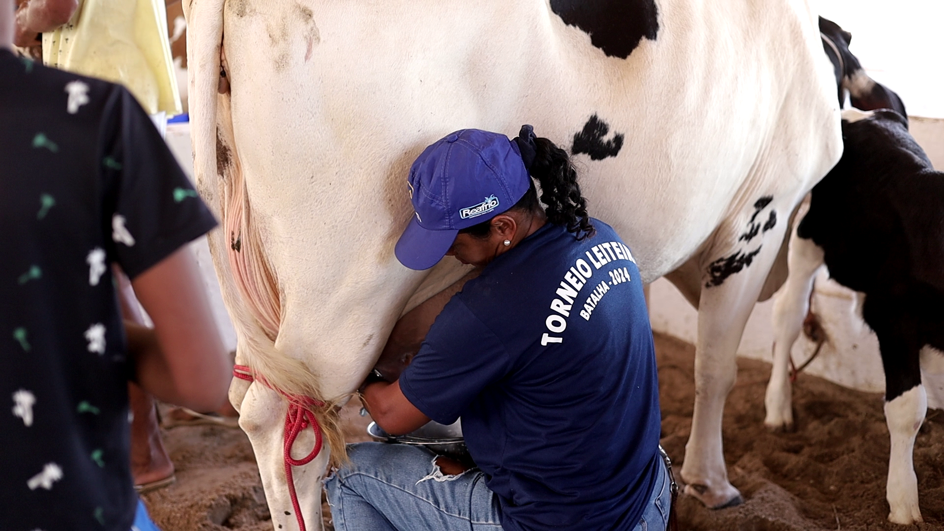 Expo Bacia Leiteira 2025: premiações de Torneio Leiteiro da Agricultura Familiar chegam a R$ 55 mil
