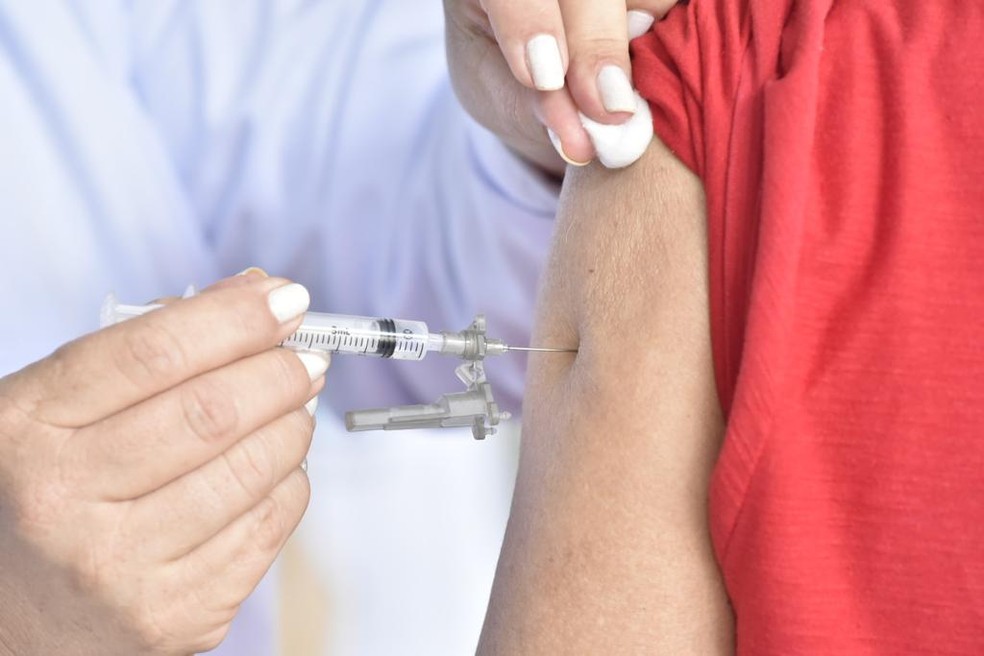 'É preciso que cheque a legalidade', diz Renan Filho após recomendação da AMA para 'sommeliers de vacina'