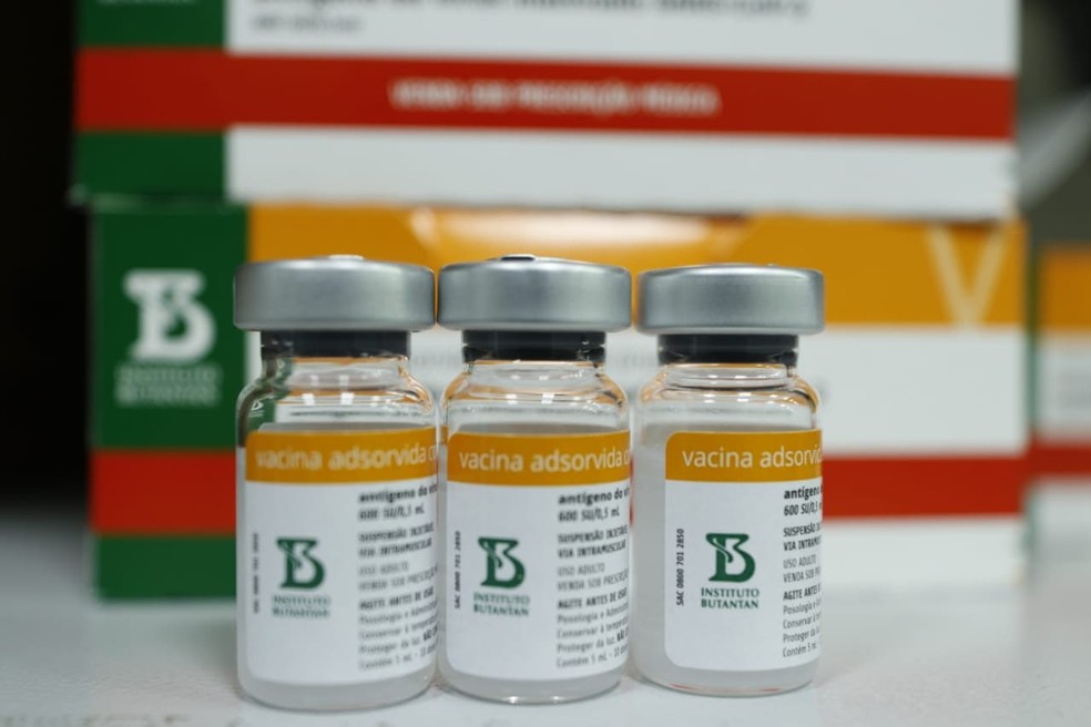 Alagoas receberá 112.600 novas doses de vacinas da CoronaVac neste sábado (18)