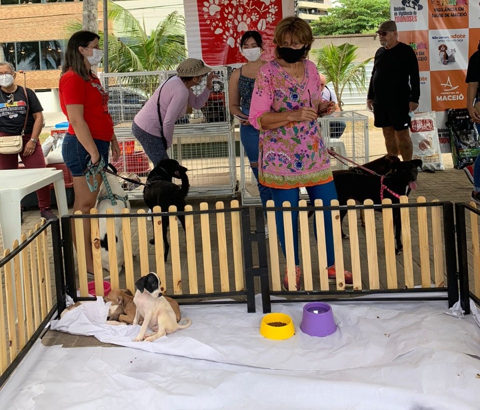 Feira de Adoção já garantiu lar para mais de 50 animais