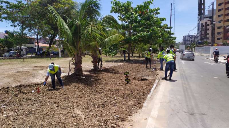 Desenvolvimento Sustentável inicia coleta seletiva de coco na orla de Maceió