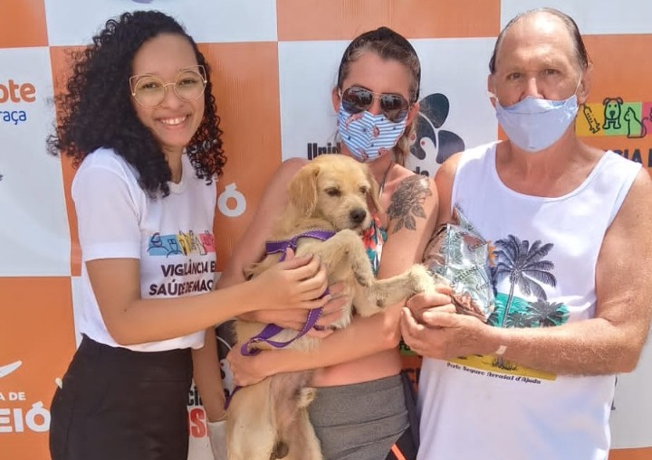 Feira de Adoção garante lar para mais dez cães e gatos