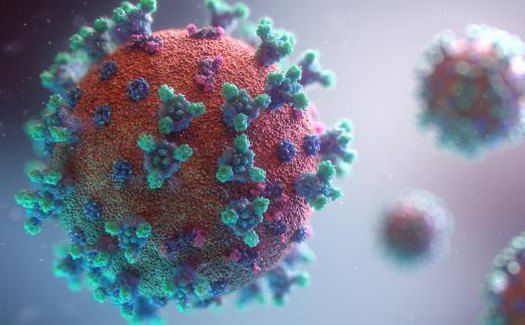 Alagoas não registra nenhuma morte por Covid-19 nas últimas 24 horas