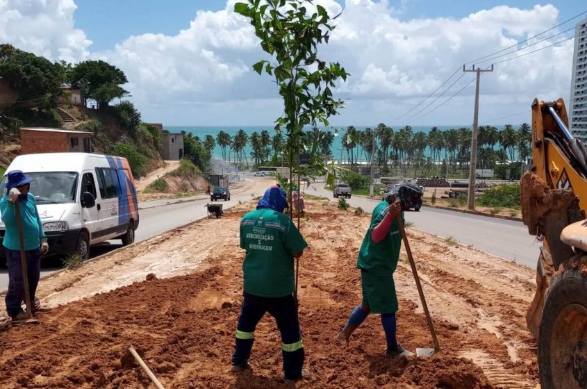 Prefeitura de Maceió inicia plantio de árvores em canteiro da Rota do Mar