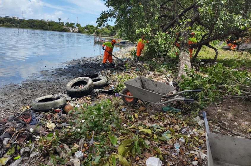 Desenvolvimento Sustentável retirou mais de 50 toneladas de resíduos no Vergel do Lago