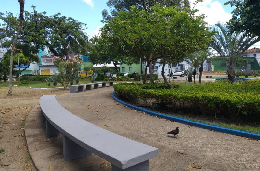 Noventa praças de Maceió são limpas desde o início do ano; saiba como acionar serviço