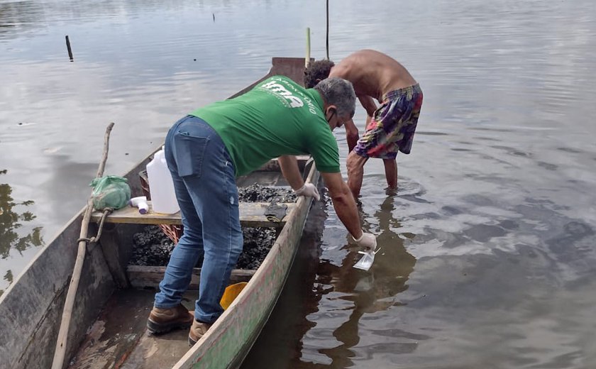 Amostras da Laguna Mundaú são coletadas para análise após morte de peixes