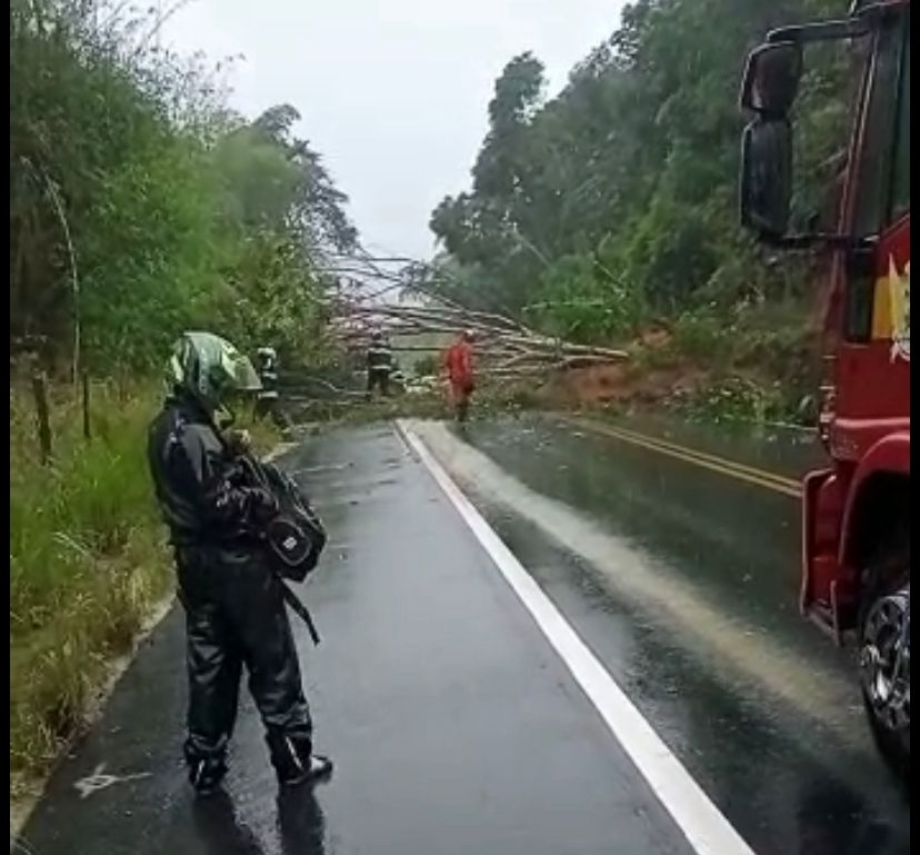 Deslizamento de barreira e queda de árvores interditam rodovia AL-101