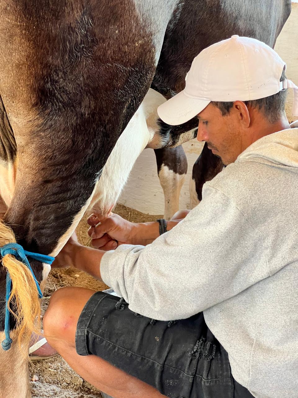 Expo Bacia Leiteira traz mais uma edição do tradicional Torneio Leiteiro da Agricultura Familiar