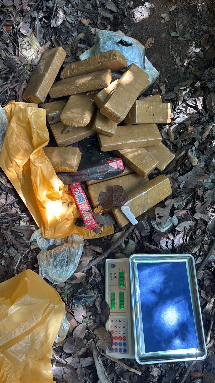 Quase 80 kg de maconha são apreendidos na Grota do Rafael, em Maceió