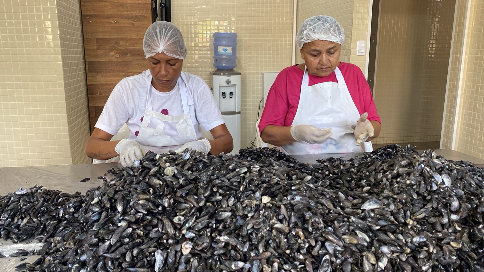 Associada à Unicafes-AL, Coopmaris recebe visita de Primeira-Dama da República
