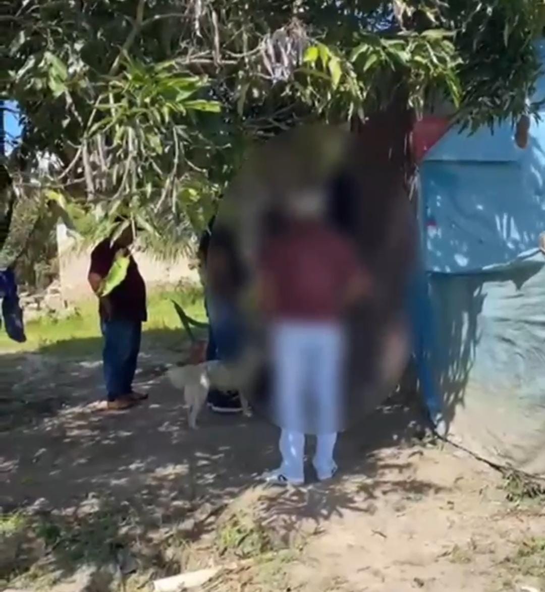 Homem é preso suspeito de manter relações sexuais com cadelas em Murici