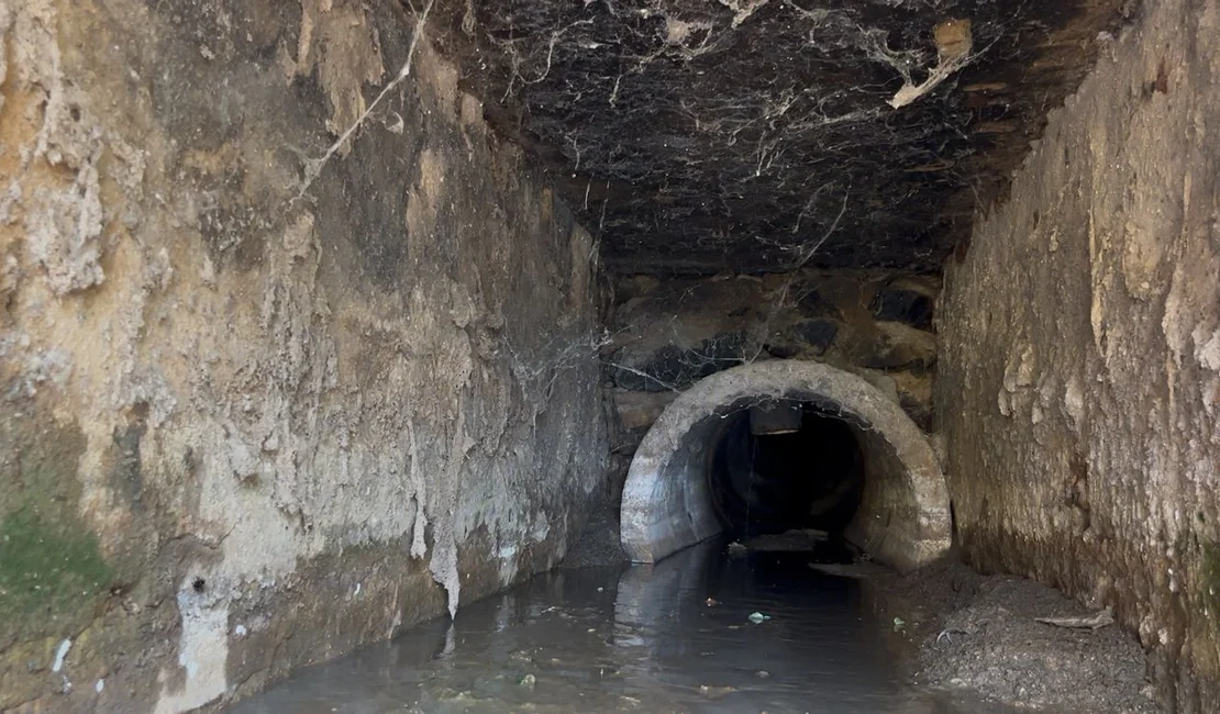 Ilha do Ferro sofre com despejo de esgoto sem tratamento no Rio São Francisco