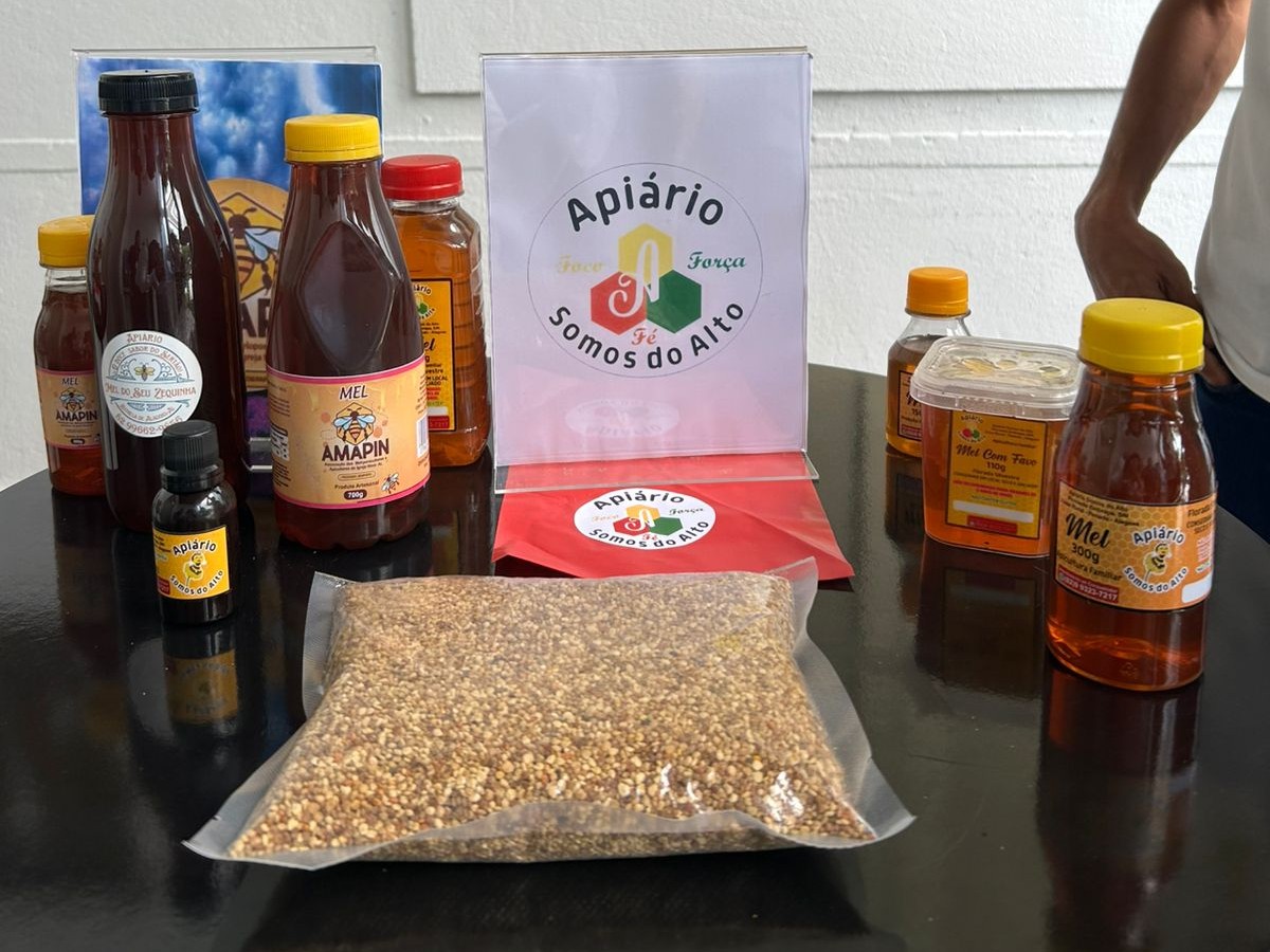 Pesquisa mostra que 23,6 mil quilos de mel foram produzidos no Sul de Alagoas