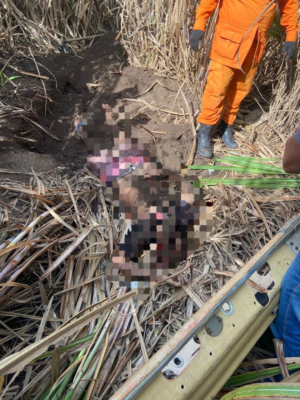 Polícia Civil investiga caso de homem encontrado enterrado em canavial em Penedo