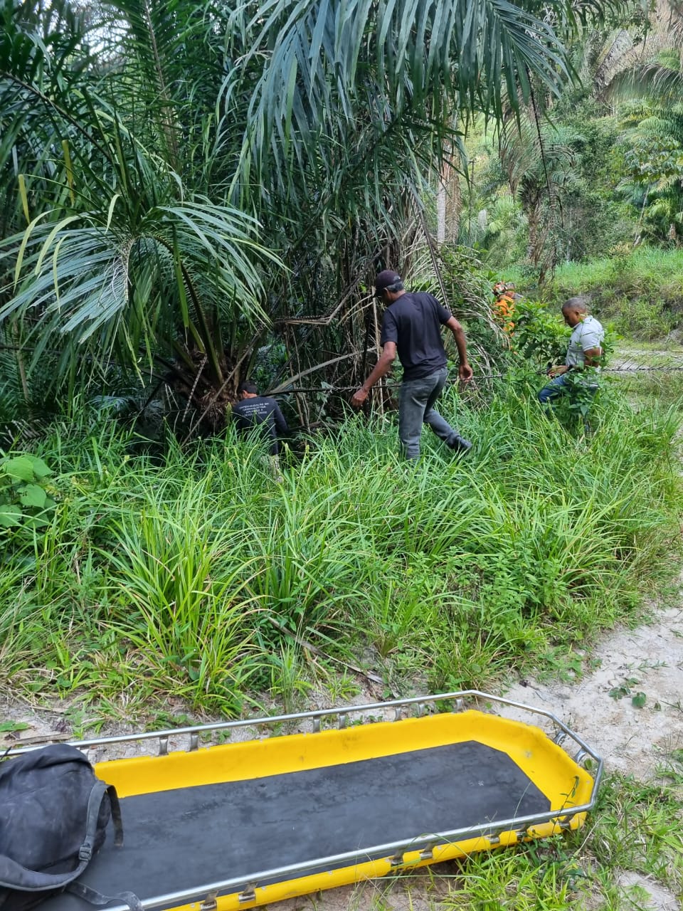 Homem é encontrado morto em área de mata em Rio Largo