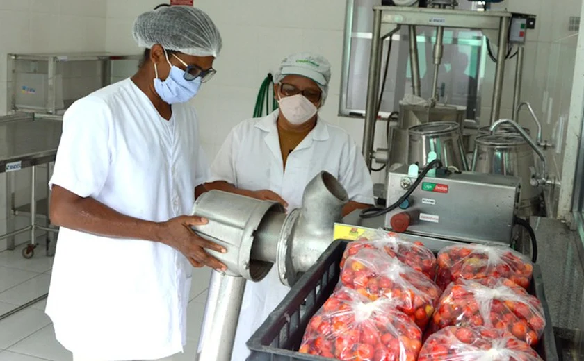 Pronera abre inscrições para curso técnico em agroindústria em Alagoas