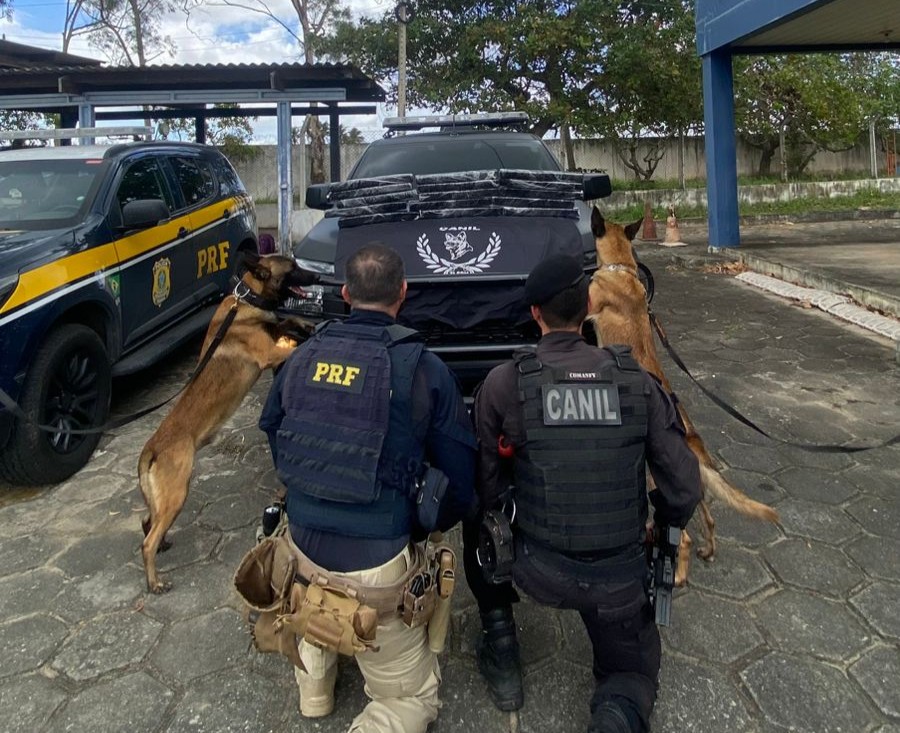 Passageiro de ônibus é preso com mais de 17 kg de maconha em São Sebastião