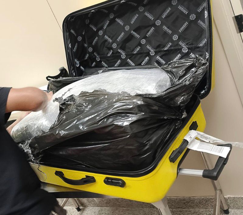 Polícia Federal apreende bagagem com 20 kg de maconha no Aeroporto Zumbi dos Palmares