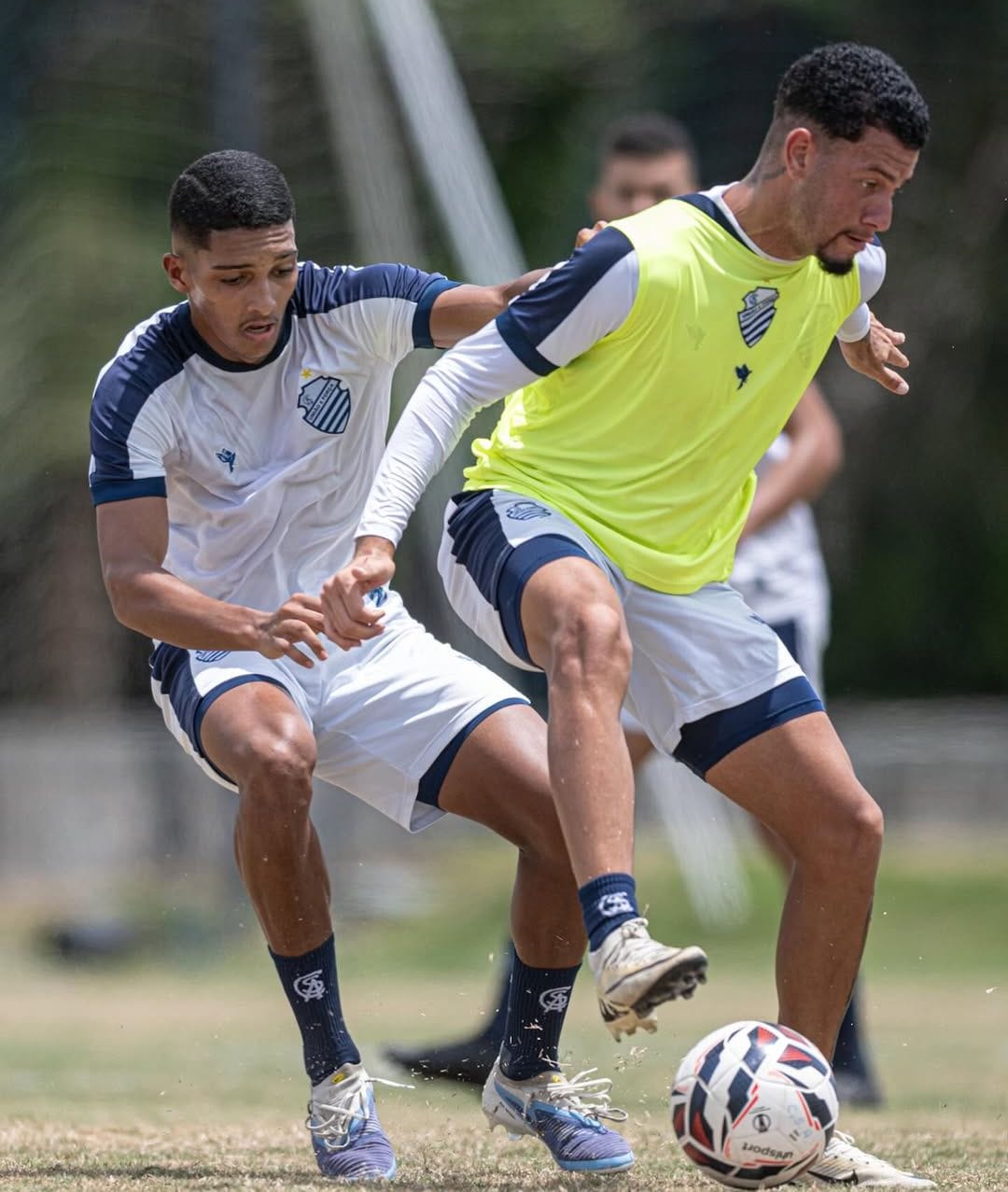 CSA inicia pré-temporada no CT Gustavo Paiva