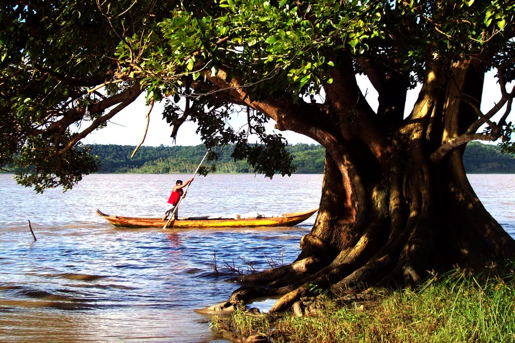 Cinema à beira da Lagoa: Cine Manguaba realiza sua primeira edição em Marechal Deodoro