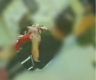 VÍDEO: Mulher é presa em flagrante após furtar óculos de R$ 3 mil no Aeroporto de AL