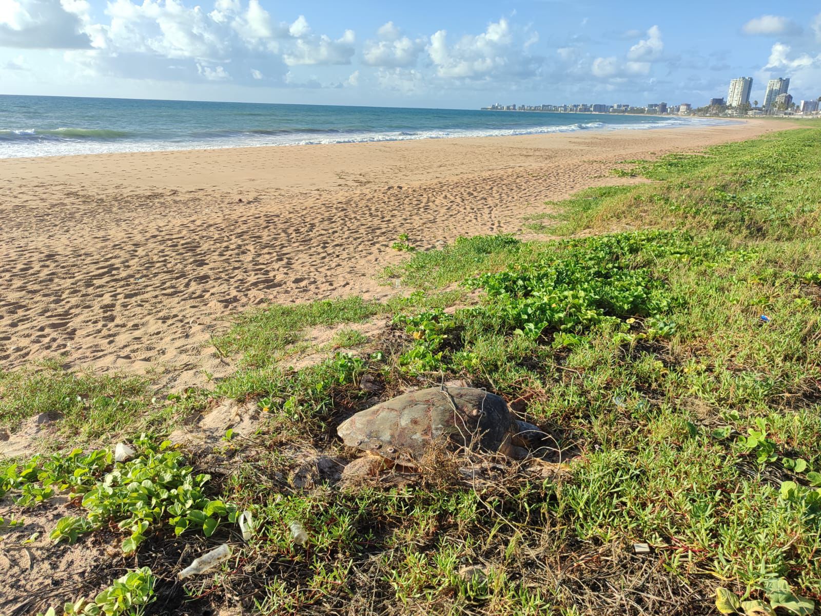 Entidades denunciam ao MPF crime ambiental e alteração no curso do Rio Jacarecica, em Maceió
