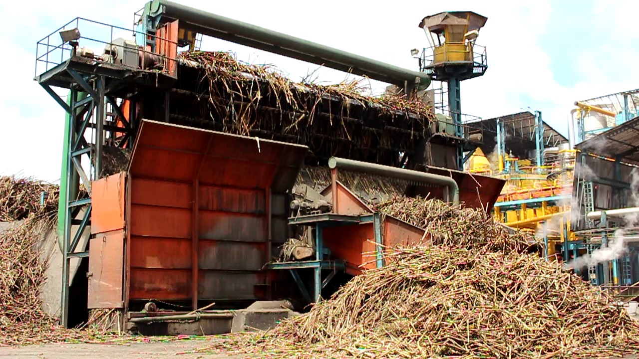 Usinas contabilizam mais de 9,5 milhões de toneladas de cana processadas em Alagoas