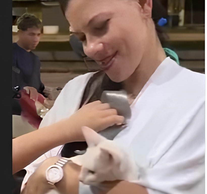 VÍDEO: Mulher defende gato que foi agredido com chute no Pará