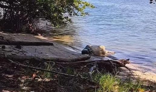 Corpo é encontrado às margens da Lagoa Manguaba, em Marechal Deodoro